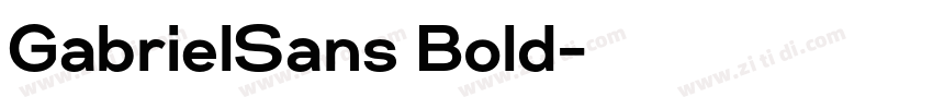 GabrielSans Bold字体转换 GabrielSans Bold字体转换